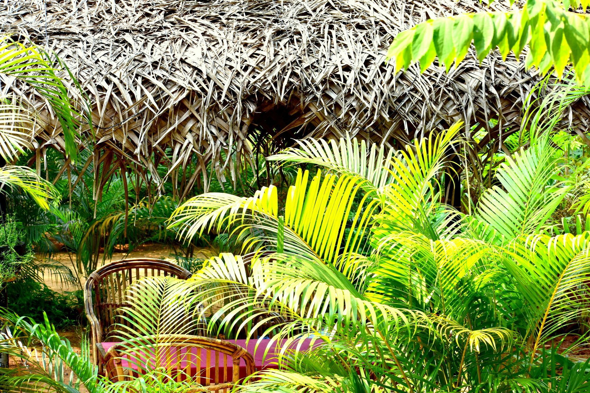 Patnem Garden Resort Patnem Beach 外观 照片